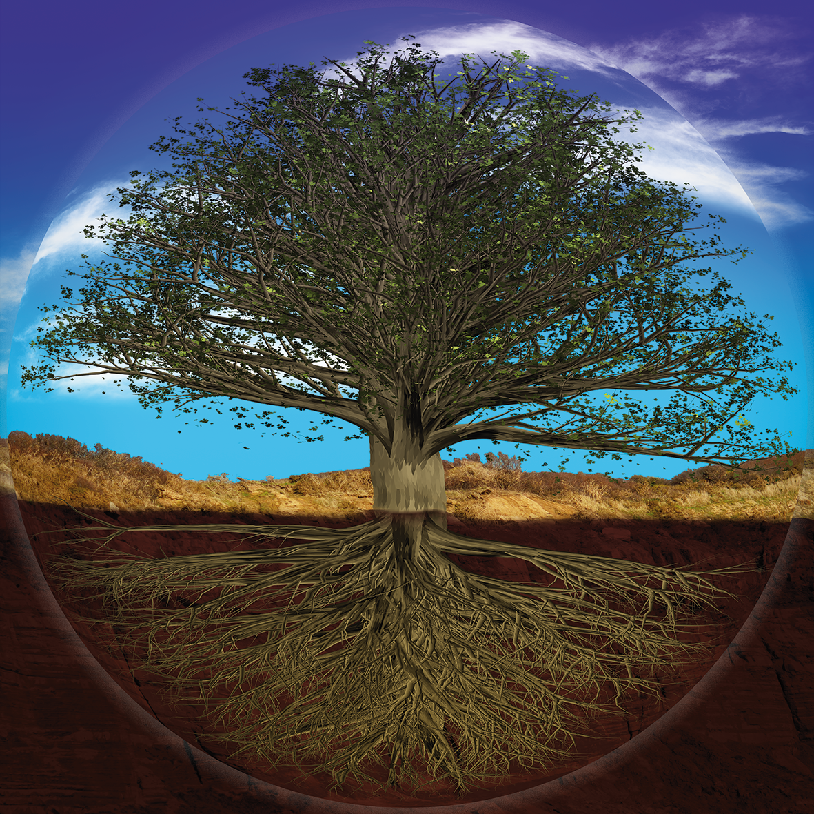 Foto- / Beeldbewerking